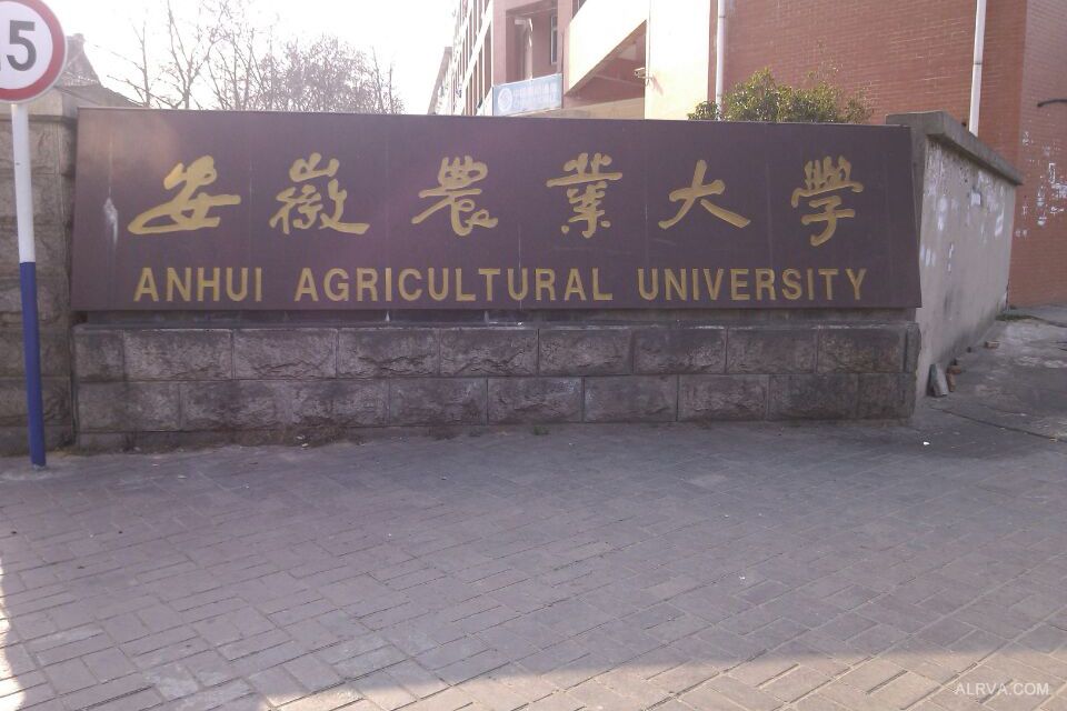 安徽農(nóng)業(yè)大學資環(huán)學院采購凱氏定氮儀