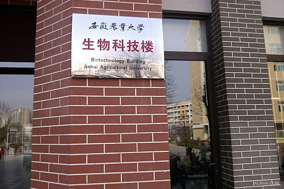 安徽農(nóng)業(yè)大學資環(huán)學院采購凱氏定氮儀