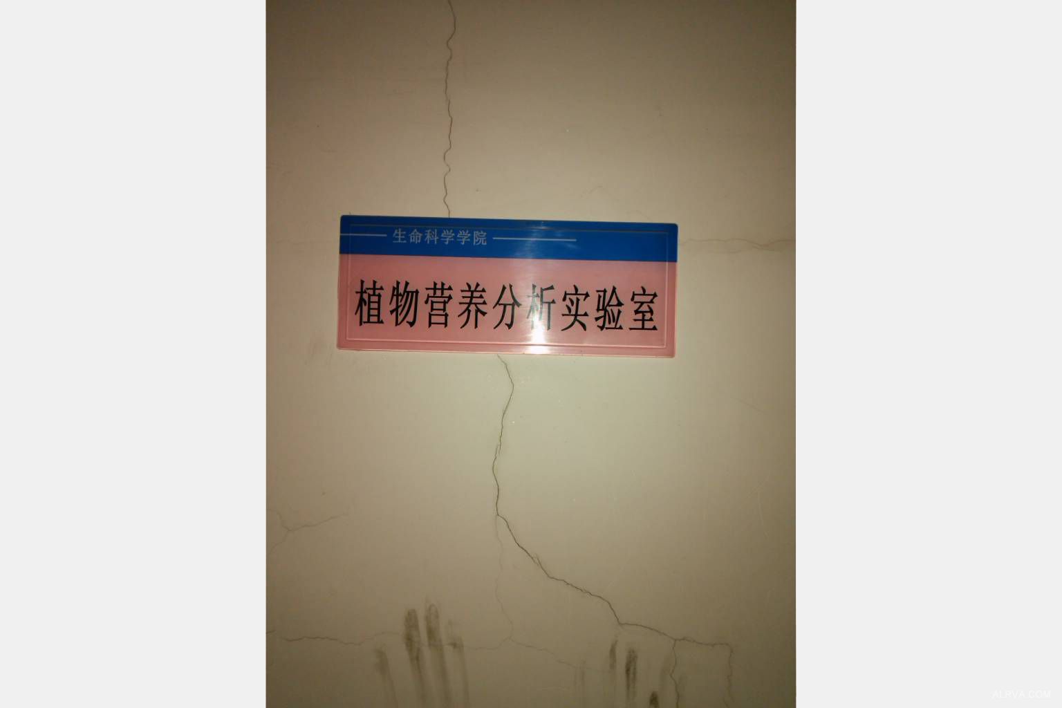 內(nèi)蒙古大學(xué)采購阿爾瓦凱氏定氮儀